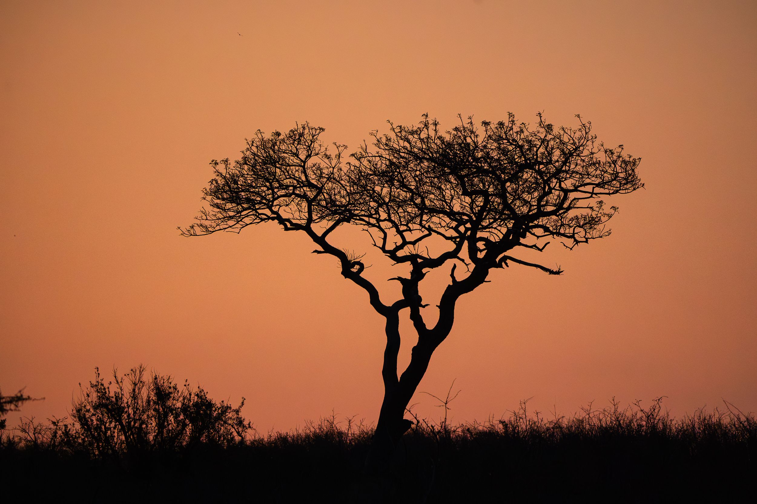 20230929 180636 Fotobuch Südafrika 2